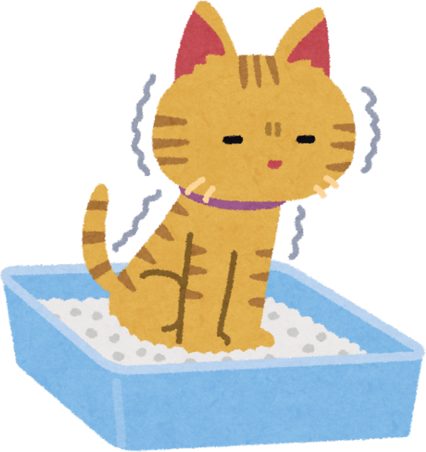Illustration of a Struggling Cat on Cat Litter